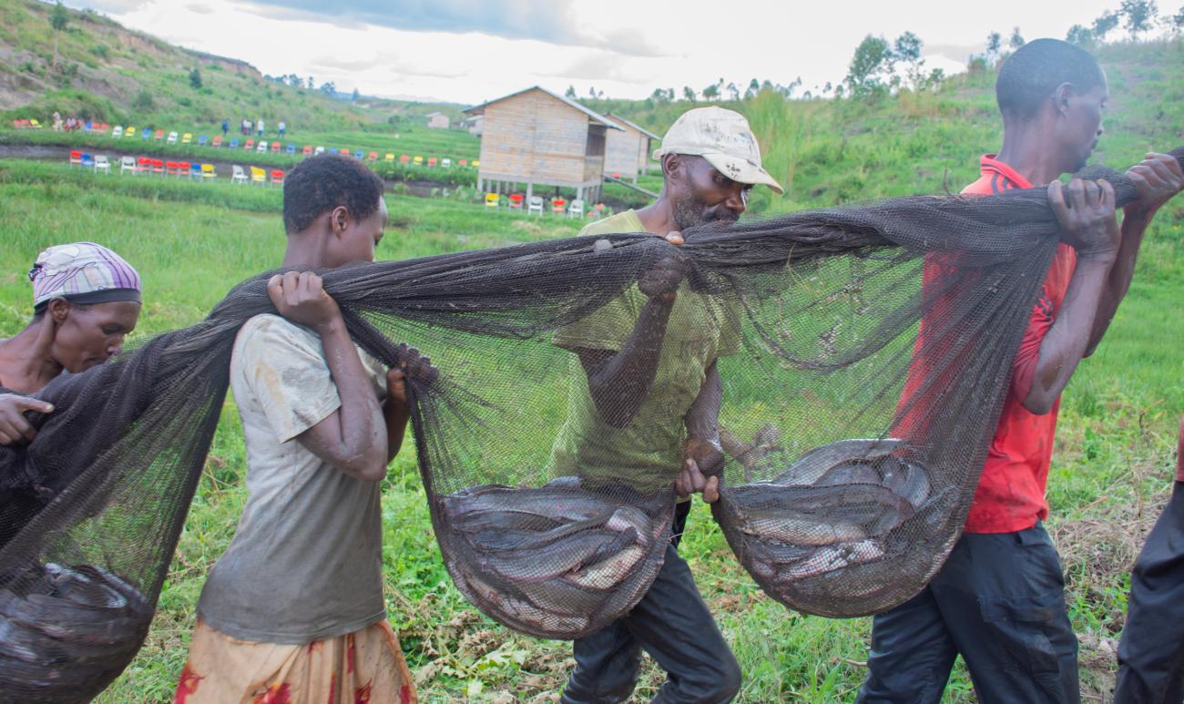 Le poisson n’est plus un mythe en dehors du lac Tanganyika